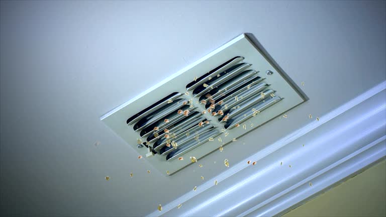 Best HVAC Duct Inspection Services  in Steger, IL