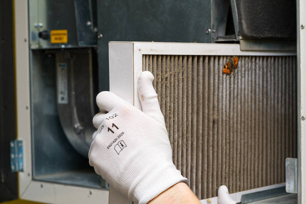 Best Air Duct Cleaning Company Near Me  in Steger, IL