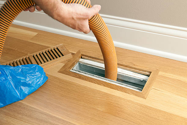 Best Air Duct Sanitizing Services  in Steger, IL