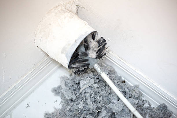 Best Professional Duct Cleaning Services  in Steger, IL